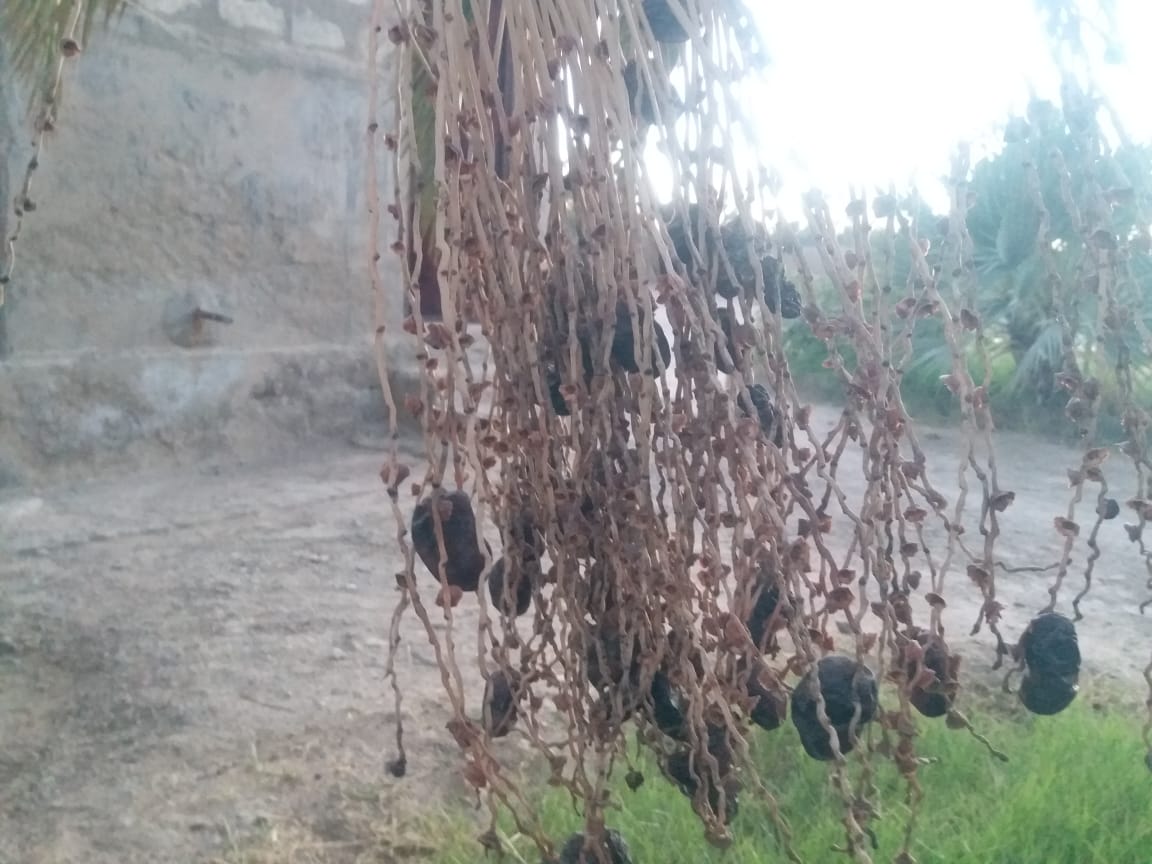 Photo by Zareef Baloch