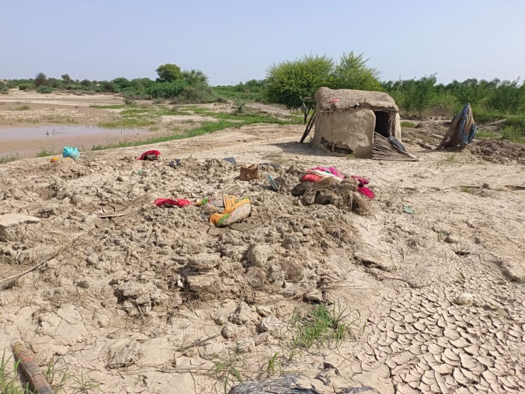 Unheard Ordeals Of Baluchistan’s Desperate Date Palm Farmers