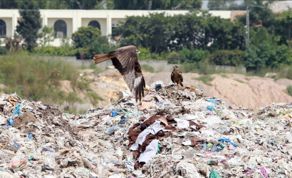 Can Pakistan & India be Nemesis of Environmental Pollution?