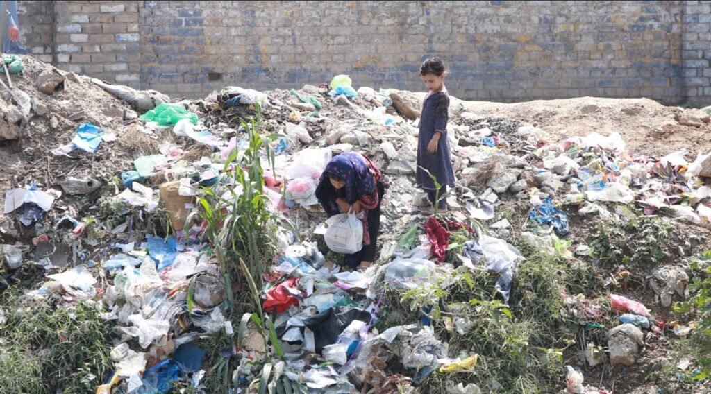Can Pakistan & India be Nemesis of Environmental Pollution?