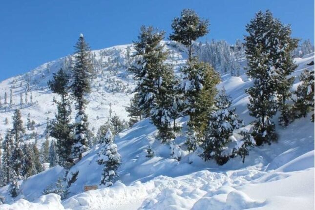 Galyat &Naran Receive First Snowfall of Season