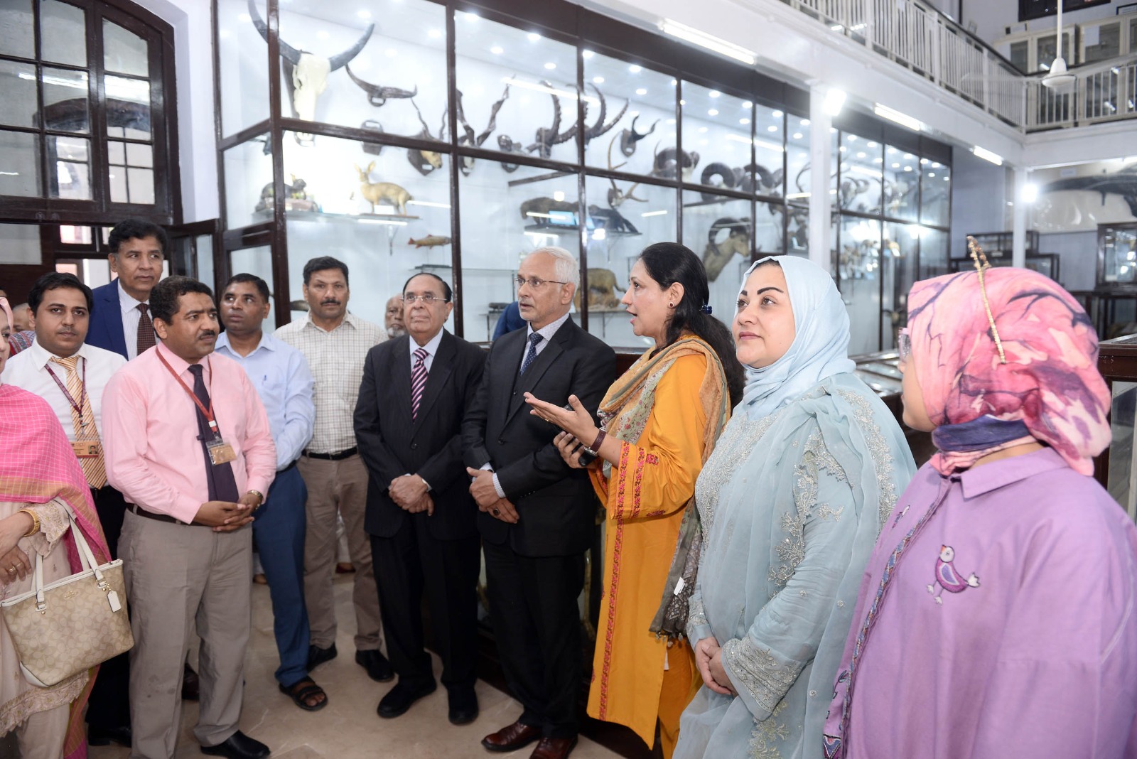 Dr Attaur Rehman Urges Focus on Tech Development