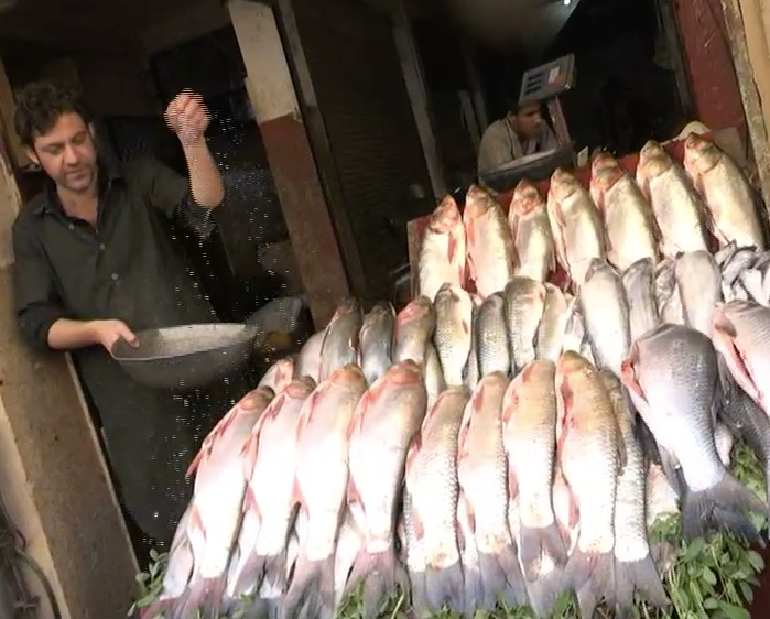 KP’s Fisheries Can Superhead Economic Growth