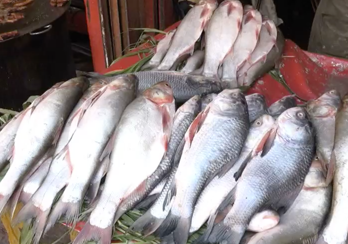 KP’s Fisheries Can Superhead Economic Growth