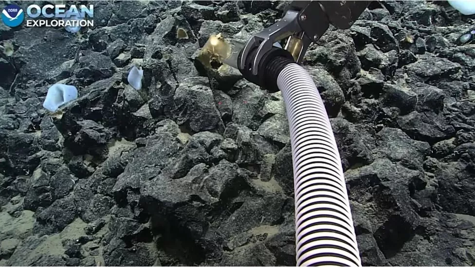 Mysterious 'Golden Egg' Discovered Off Alaska's Coast