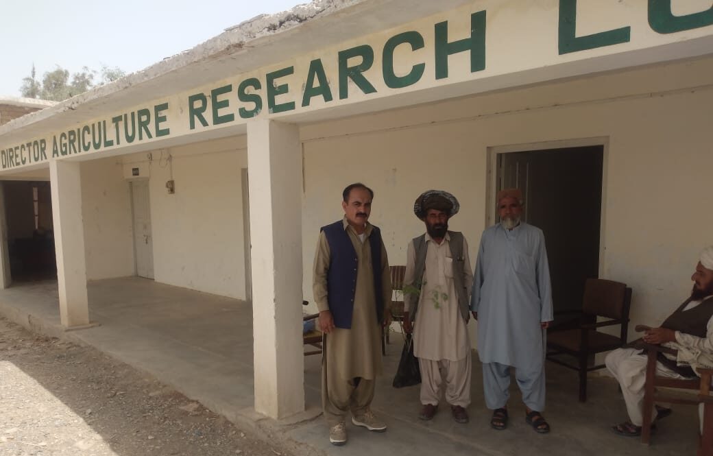 Olive Farming Offers New Economic Horizons in Balochistan