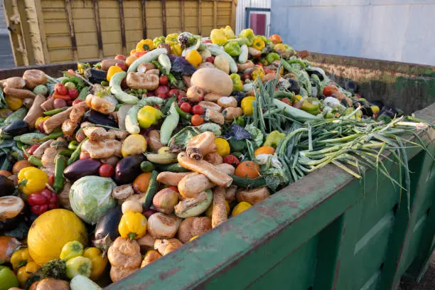 From Plate to Planet: How Food Waste Fuels Climate Change