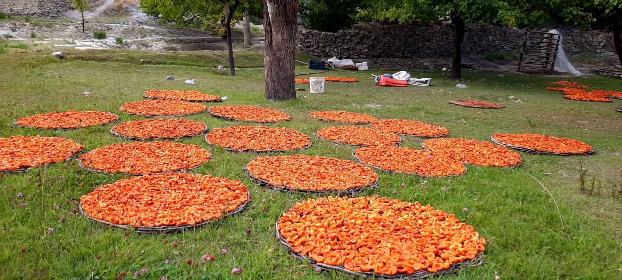 GB’s Dry Fruit Delights