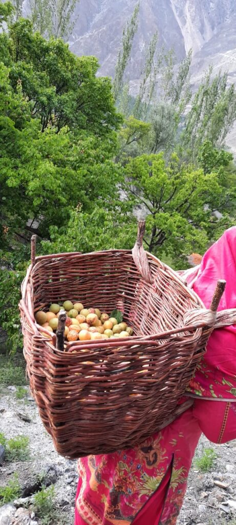 GB’s Dry Fruit Delights