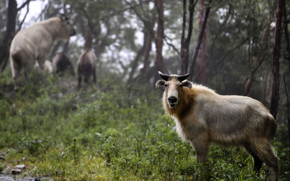Protecting Nature, Enhancing Lives