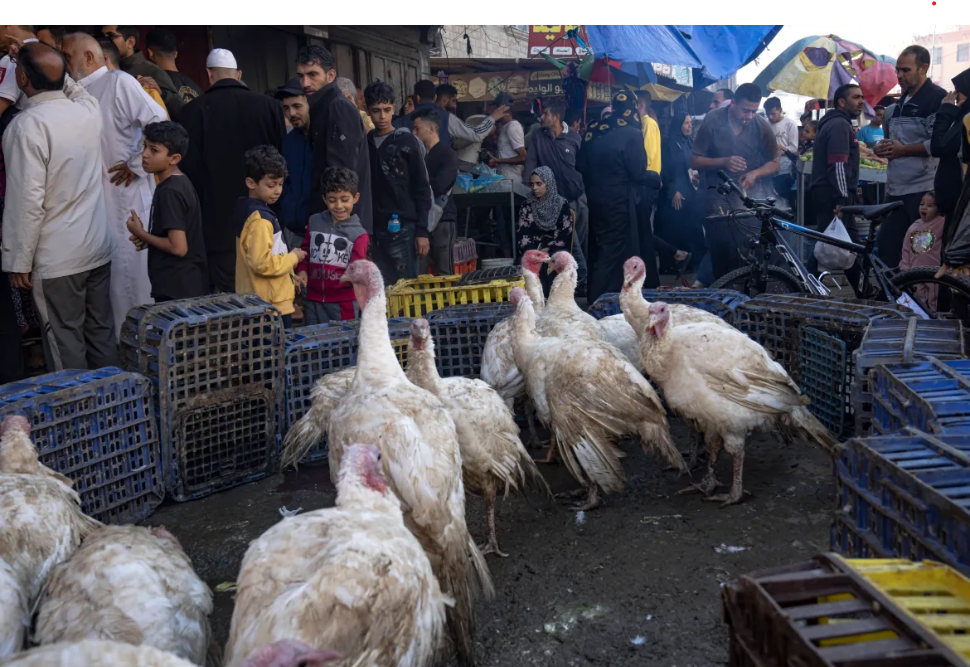 UN Warns Gaza Humanitarian Efforts at Risk