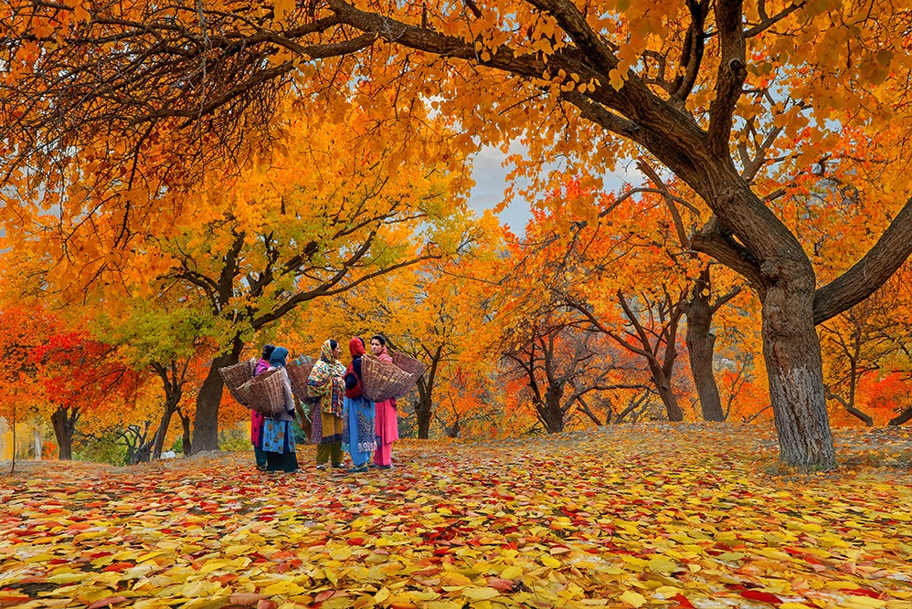 Islamabad's Autumn Charm Lures Tourists