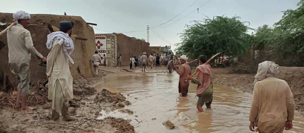 Wind-Dust, Thunderstorm-Rain Forecast