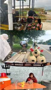 Struggle for Survival