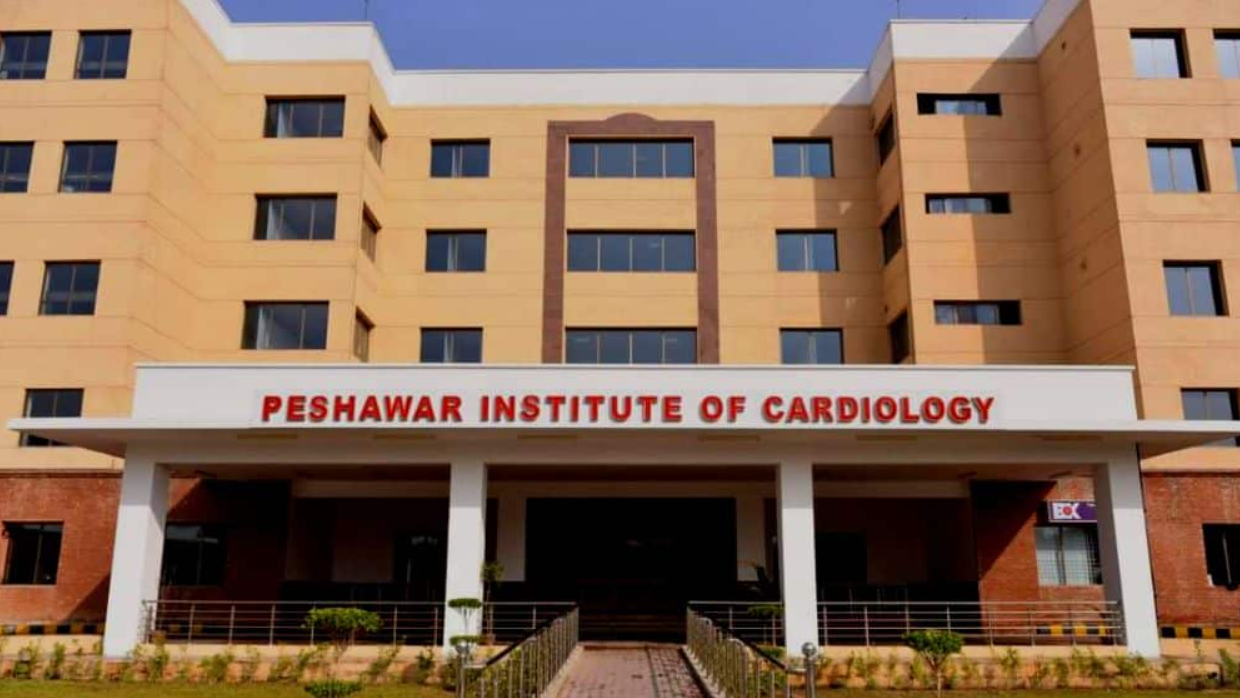 Record Year: 61000 Heart Patients Examined at PIC