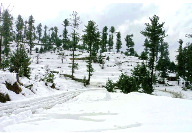 Snowfall Enthusiasts Flock to Malam Jabba, Kalam