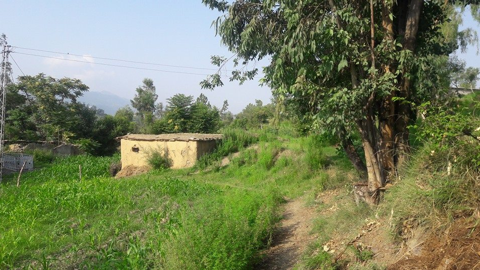 Back to the Village of My Birth