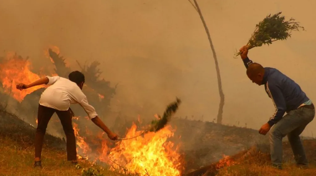 Massive Fire Burns Forests in North India