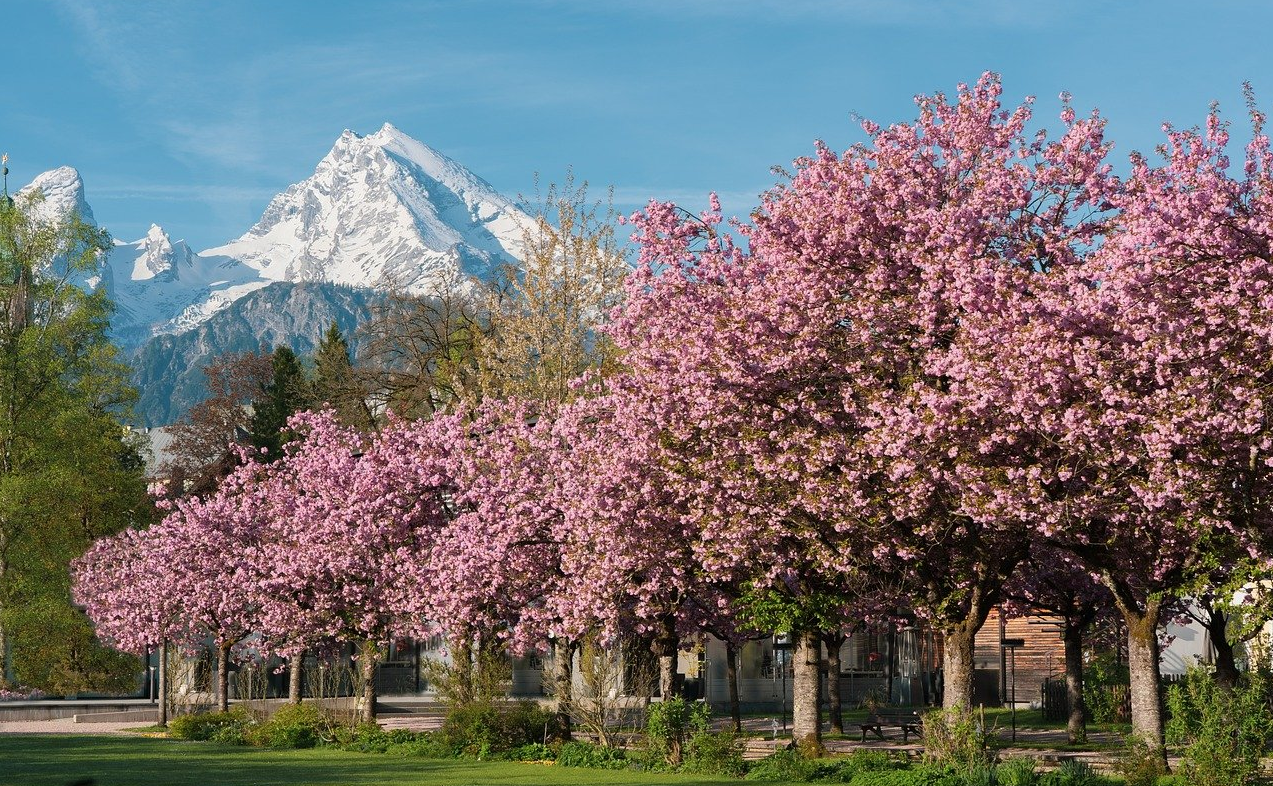 Pakistan's Tourism, Archaeological Heritage Await Your Exploration
