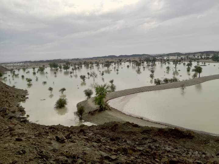 Unexpected Rainfall in Gwadar Leads to Severe Flooding