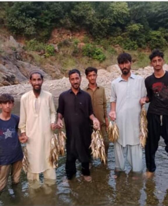 Six Arrested for Destructive Fishing in Mansehra Stream