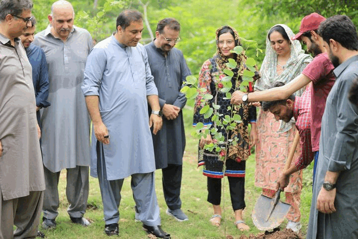 QAU Students Join CDA Randhawa in Margalla Hills Tree Plantation Drive