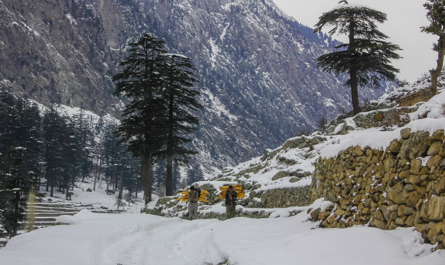 Swat Snowfall Sparks Winter Tourism Surge