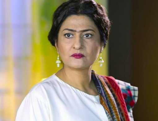 The Best-Styled Characters Elevating Pakistani Dramas in 2024
