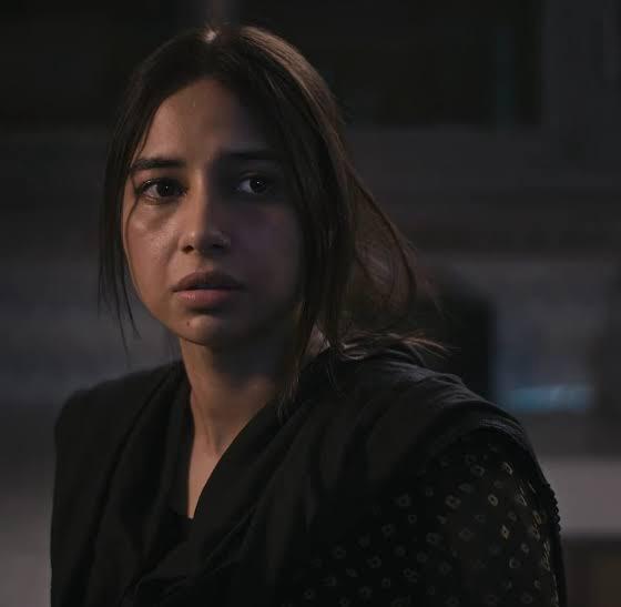 The Best-Styled Characters Elevating Pakistani Dramas in 2024