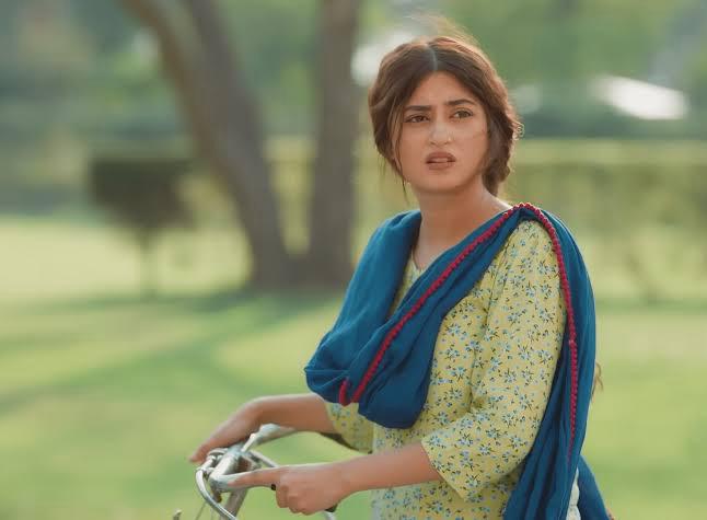 The Best-Styled Characters Elevating Pakistani Dramas in 2024