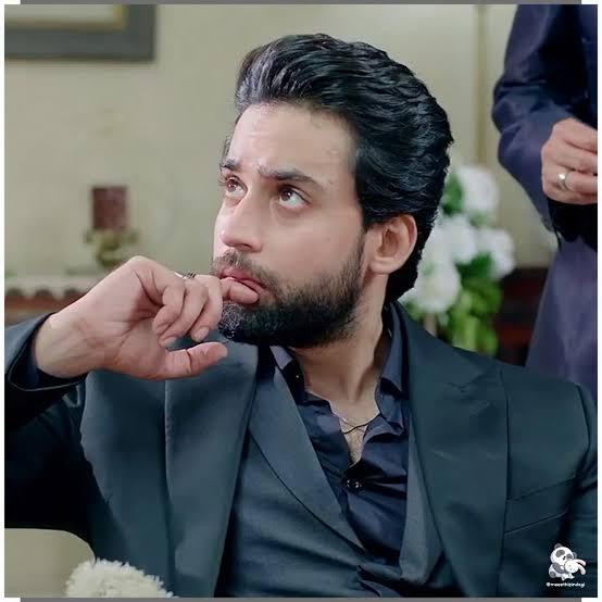 The Best-Styled Characters Elevating Pakistani Dramas in 2024