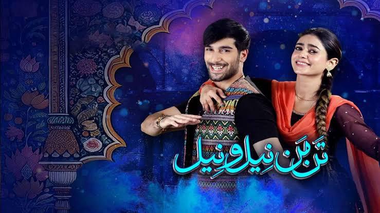 Unforgettable Conclusions: 8 Pakistani Dramas with Powerful Endings