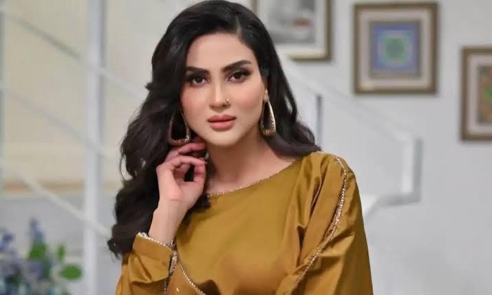 8 Most Controversial TV Hosts in Pakistan