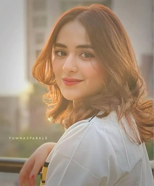 12 Pakistani Celebrities Who Have Won Hearts Across India