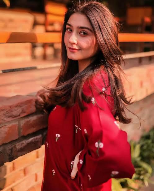 12 Pakistani Celebrities Who Have Won Hearts Across India