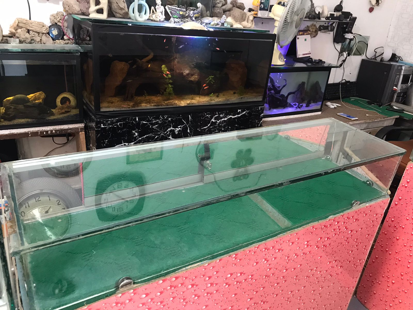 Time Stolen: Adyala Watch Shop Heist Leaves Owner Devastated