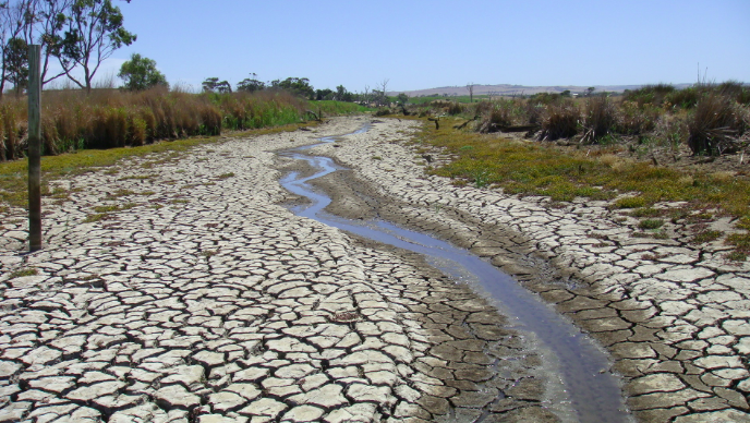 Tackling the Climate Crisis