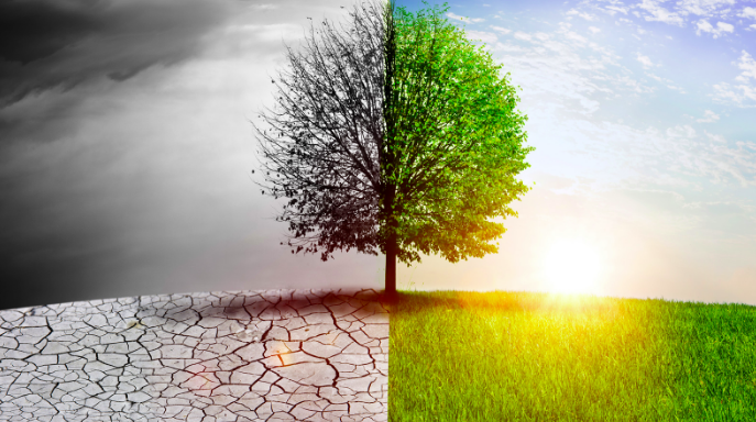 Tackling the Climate Crisis