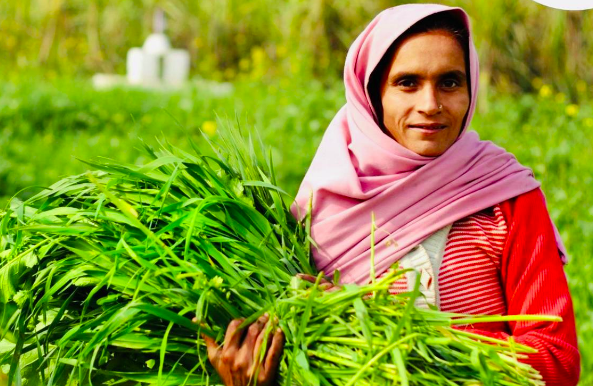 Women; The Backbone of Rural Agriculture