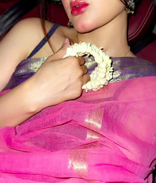 Hira Mani’s Saree Style Sparks Praise and Criticism