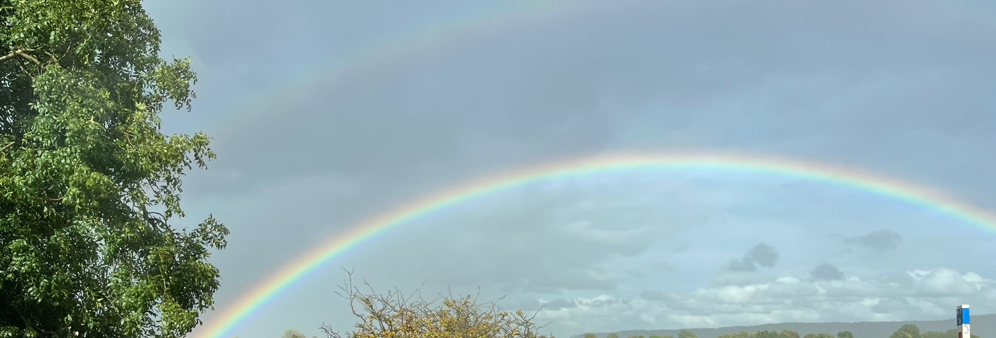 Nature’s Art: Reflection On ‘Rainbow’