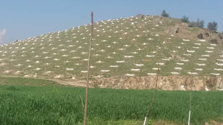 Centuries-old Tribal Tradition Revived to Fight Climate in Bajaur