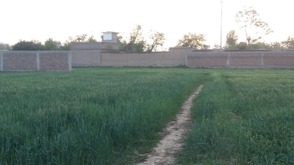 Why Are Bajaur’s Fields Disappearing?