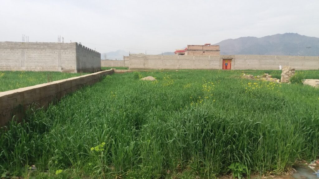 Why Are Bajaur’s Fields Disappearing?