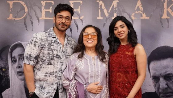 2025’s Biggest Winners and Losers in Pakistani Cinema