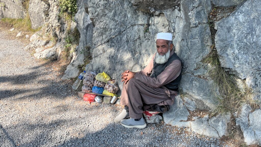 Walnut Vendor’s Quiet Vigil