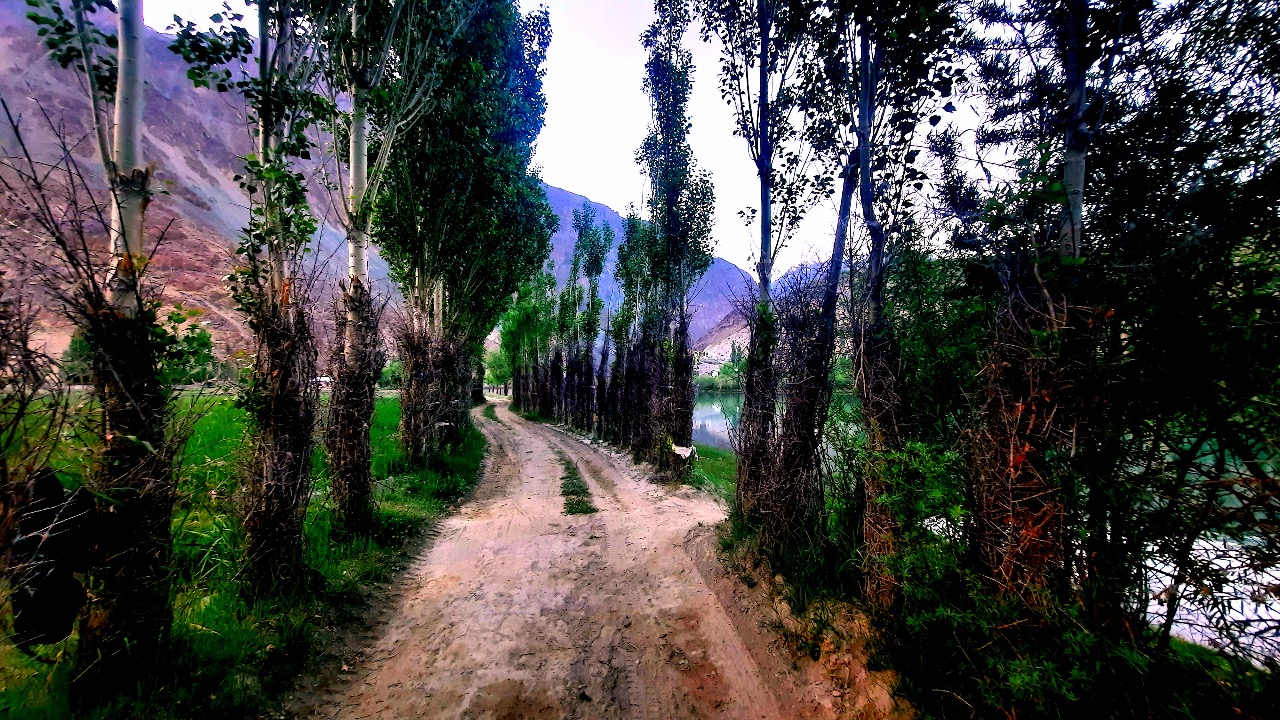 Can Forests Save Pakistan from Climate Extremes?