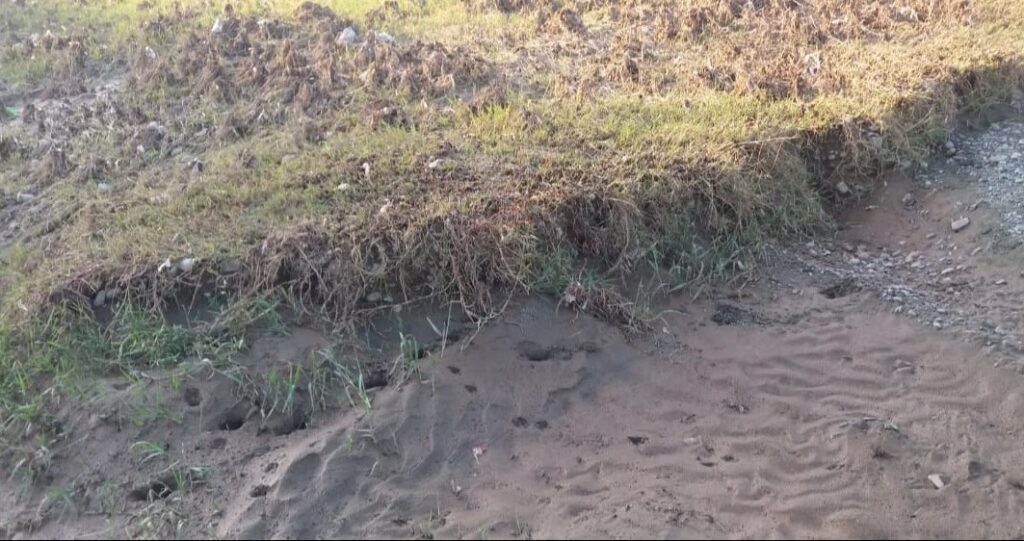 A Hunter’s Lament as Bajaur’s Wetlands Disappear