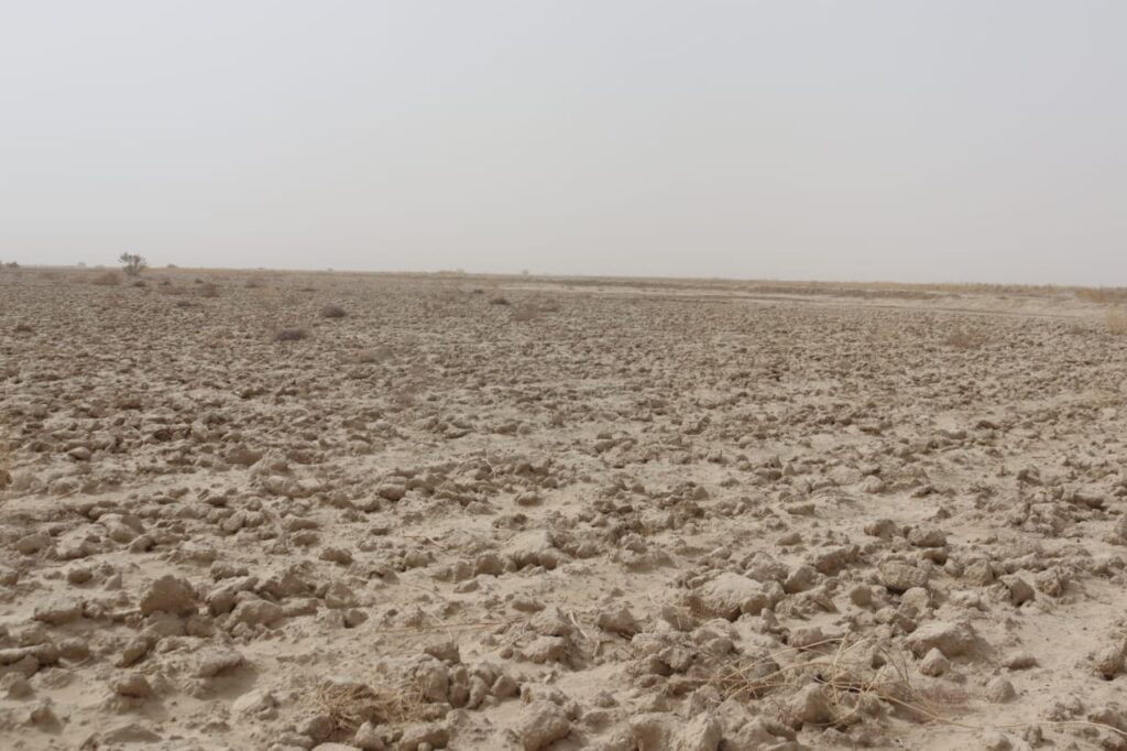 Heat Emerging as Silent Driver of Kidney Diseases in South Asia 