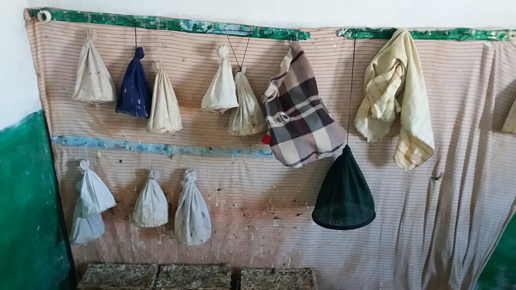 Wildlife is Disappearing in Bajaur